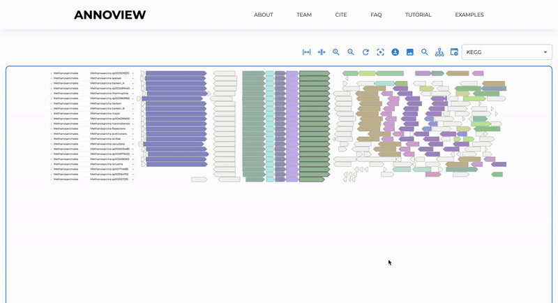 Select and Highlight Genes